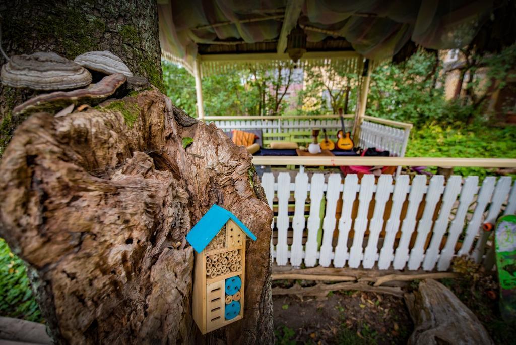 Hostel Mountain Tale Braszów Zewnętrze zdjęcie