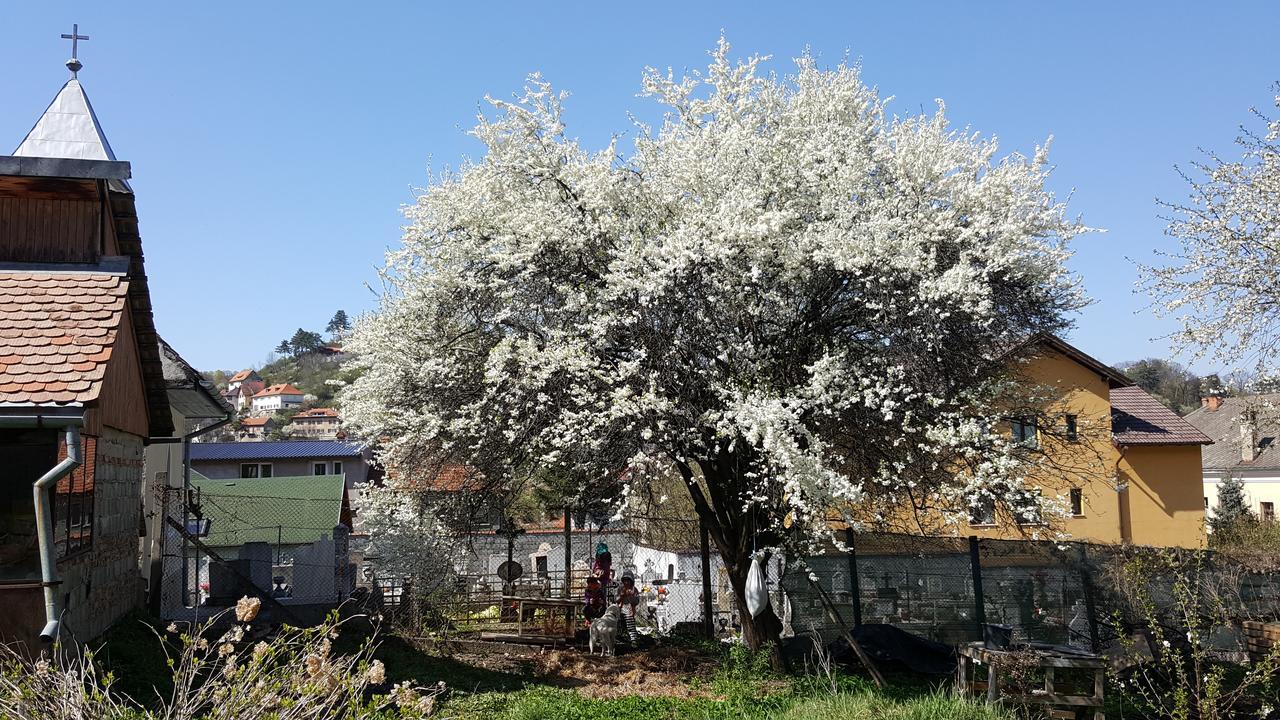 Hostel Mountain Tale Braszów Zewnętrze zdjęcie