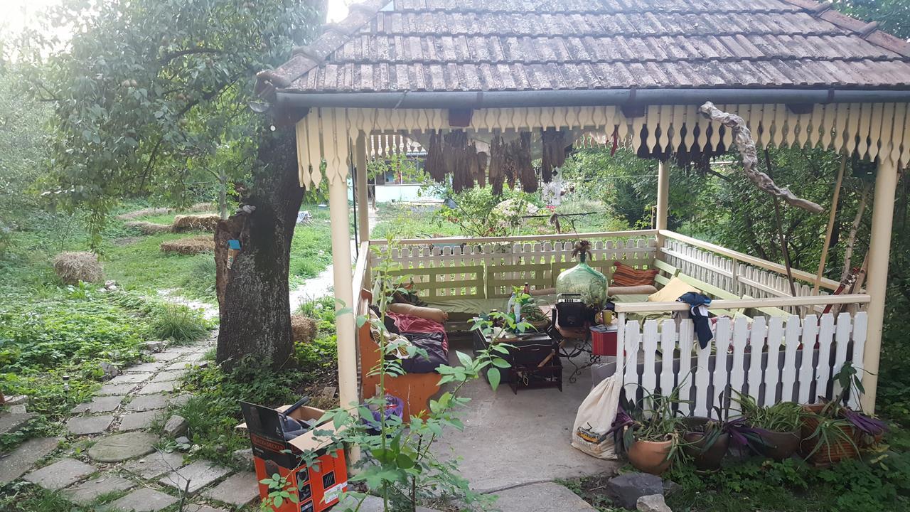 Hostel Mountain Tale Braszów Zewnętrze zdjęcie