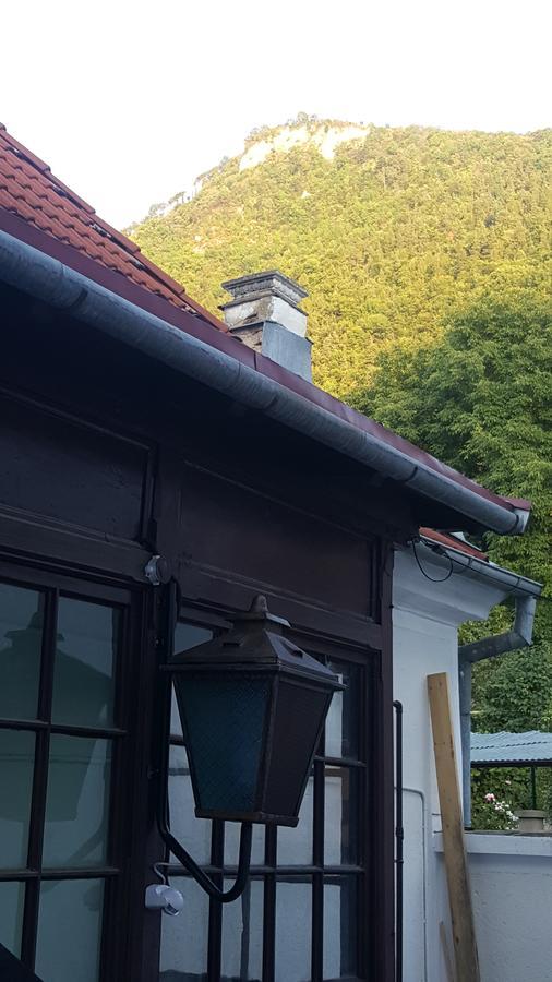 Hostel Mountain Tale Braszów Zewnętrze zdjęcie