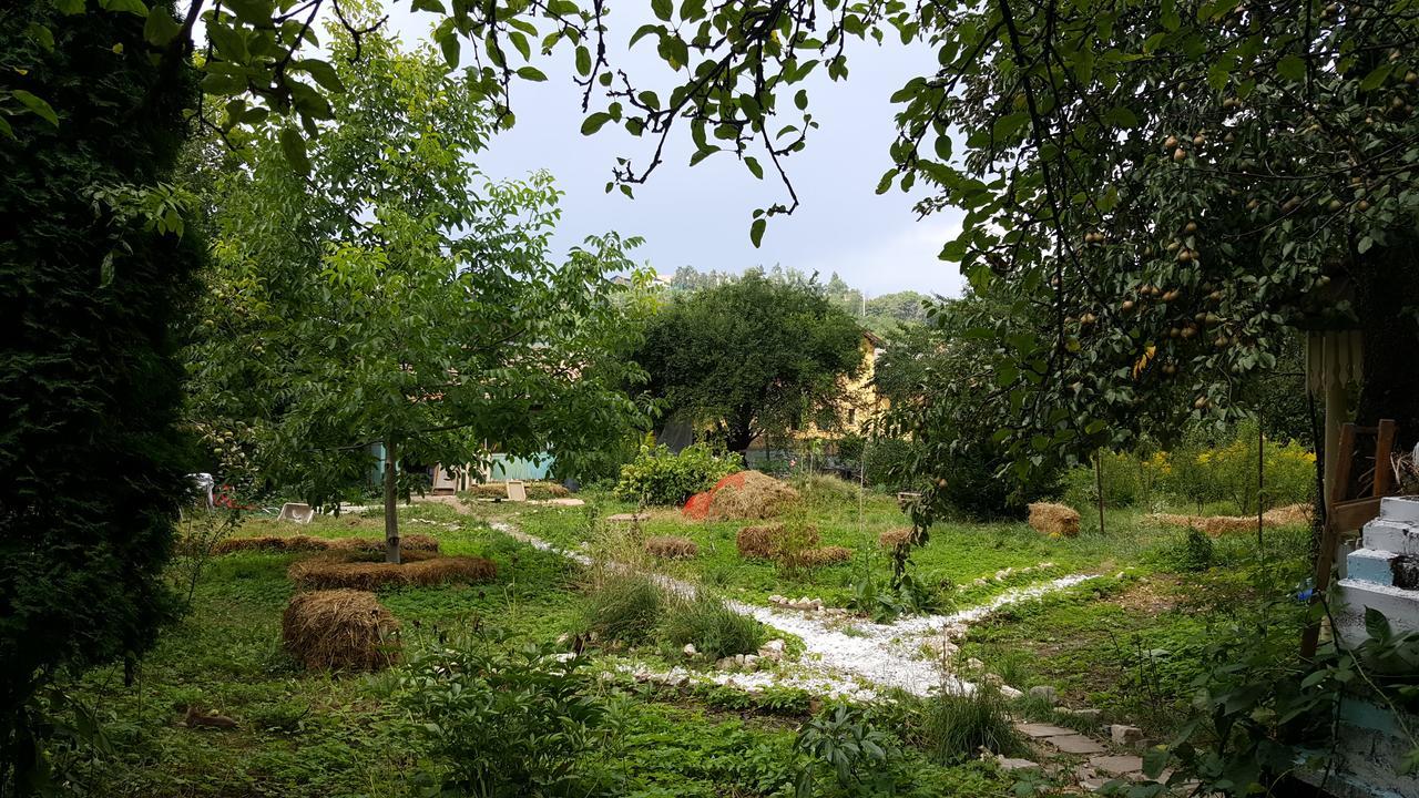 Hostel Mountain Tale Braszów Zewnętrze zdjęcie