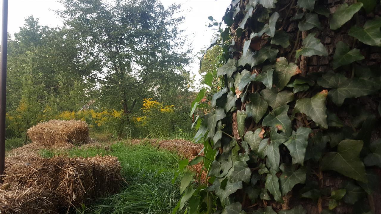 Hostel Mountain Tale Braszów Zewnętrze zdjęcie