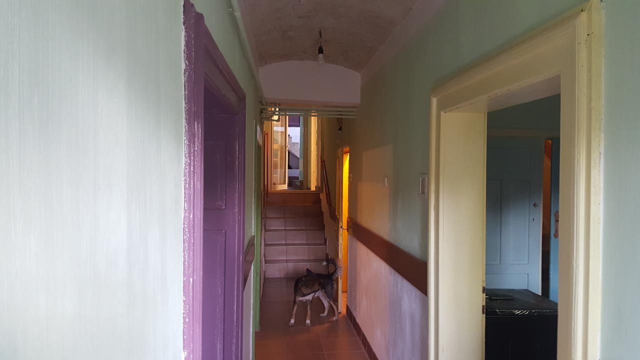 Hostel Mountain Tale Braszów Zewnętrze zdjęcie