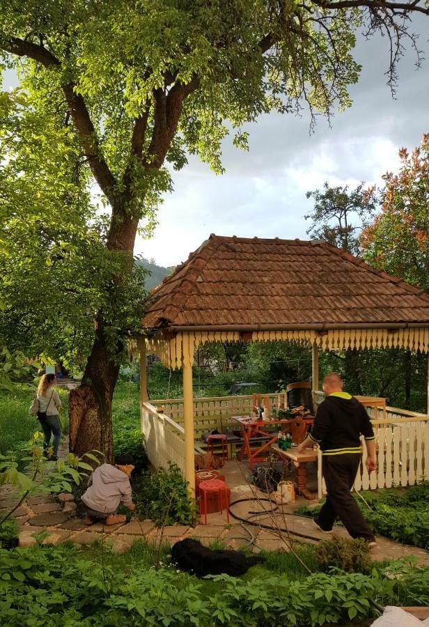 Hostel Mountain Tale Braszów Zewnętrze zdjęcie