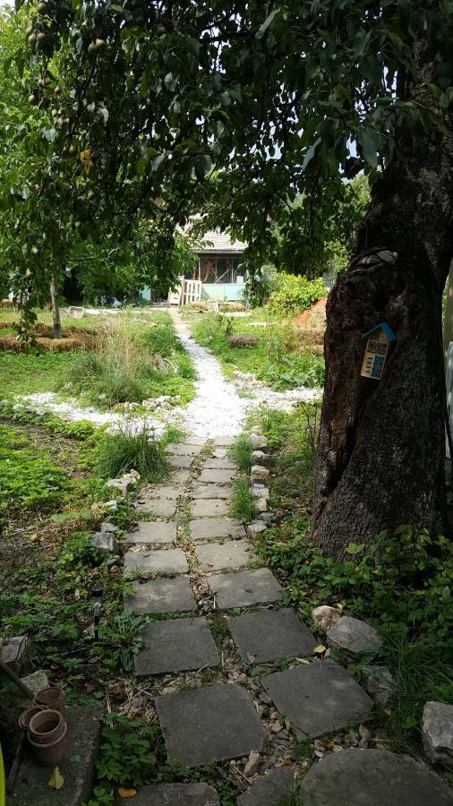 Hostel Mountain Tale Braszów Zewnętrze zdjęcie