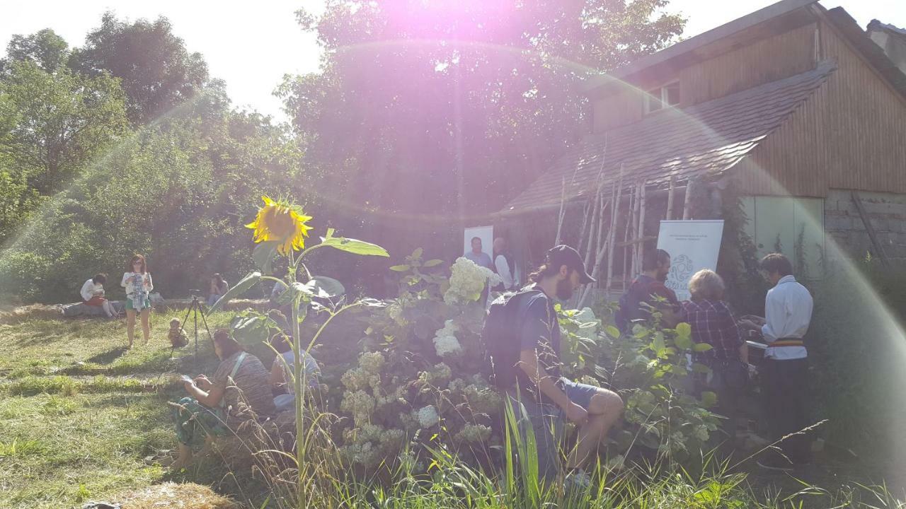 Hostel Mountain Tale Braszów Zewnętrze zdjęcie