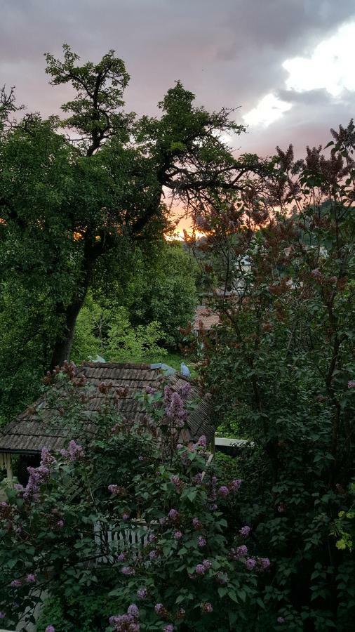 Hostel Mountain Tale Braszów Zewnętrze zdjęcie